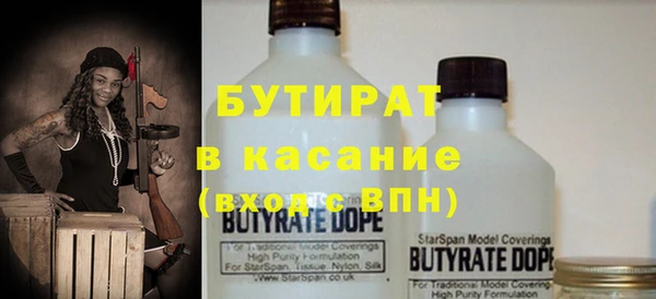 индика Алексин