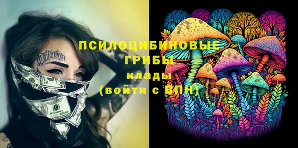 индика Алексин