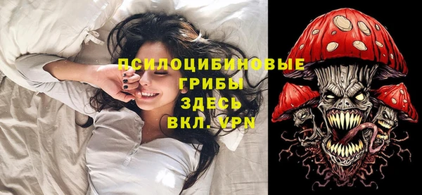 скорость Алзамай