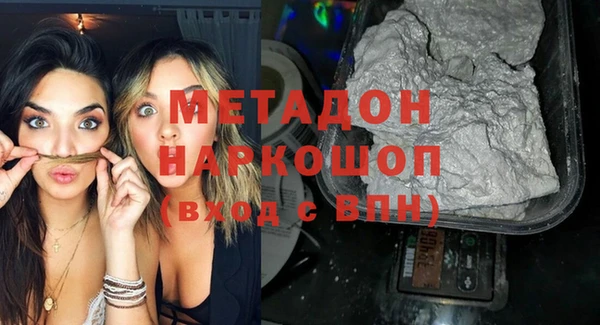 индика Алексин