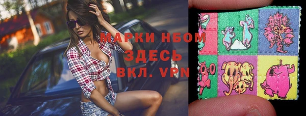 индика Алексин