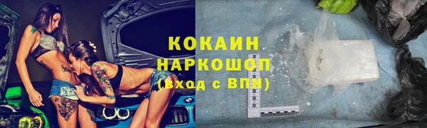 индика Алексин