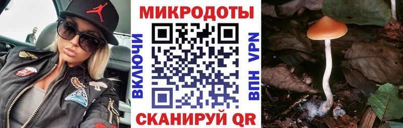 Галлюциногенные грибы мицелий  наркота  Соликамск 