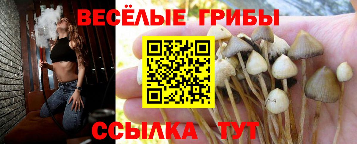 Галлюциногенные грибы прущие грибы  Вход с VPN  Соликамск  Галлюциногенные грибы мухоморы 
